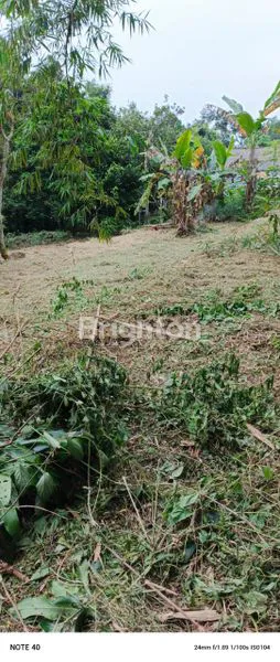 image DIJUAL TANAH CIAPUS NAMBO BOGOR (5)