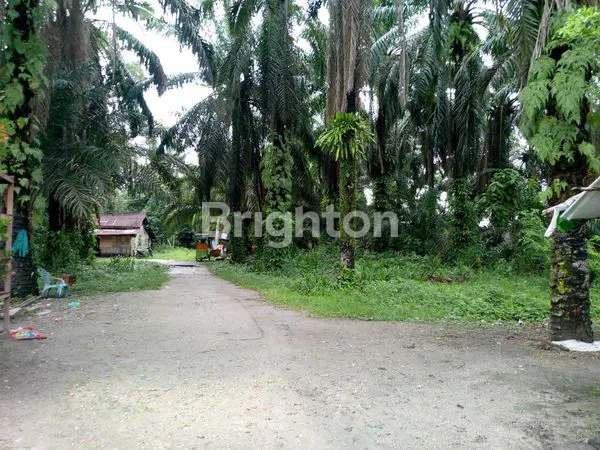 image TANAH LUAS 1,87 HA SHM DI JL. SUKAKARYA, LOKASI STRATEGIS (1)