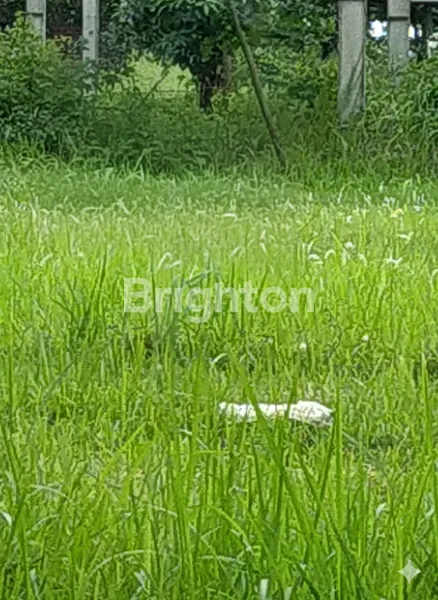 image INVESTASI TEPAT! TANAH KAVLING SIAP BANGUN POSISI HOOK DI ARAYA – DEKAT KAMPUS BINUS MALANG  (2)