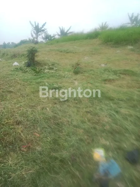 image TANAH LUAS 1.214M² DI CILOA, COCOK BISNIS & HUNIAN (2)