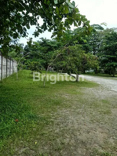 image TANAH PREMIUM PINGGIR JALAN UTAMA SM AMIN  (3)