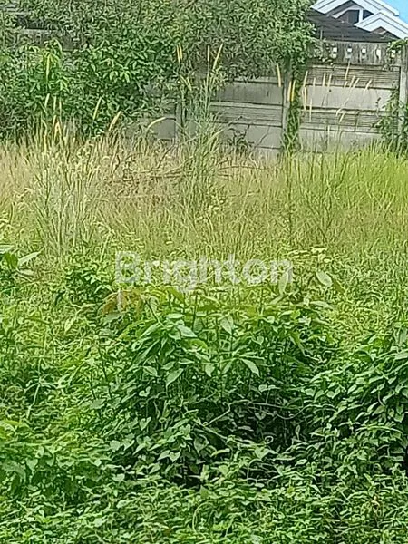 image TANAH PREMIUM 5.100M² DI JL. SM AMIN, STRATEGIS! (7)