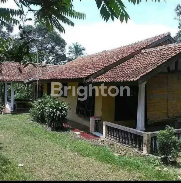 image TANAH LUAS (KOTAK) CILEUNGSI , COCOK BUAT PROYEK PERUMAHAN (5)