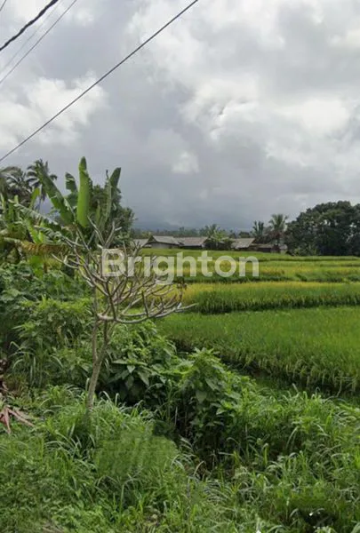 image TANAH VIEW SAWAH DAN GUNUNG LOKASI MENGESTA TABANAN (1)