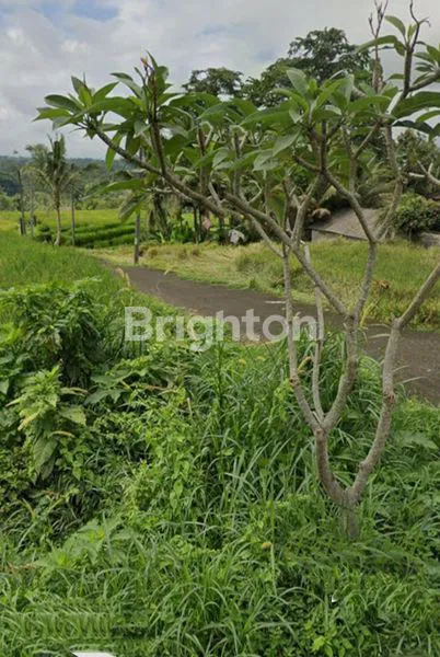 image TANAH VIEW SAWAH DAN GUNUNG LOKASI MENGESTA TABANAN (2)