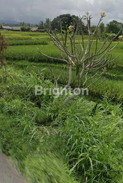 image TANAH VIEW SAWAH DAN GUNUNG LOKASI MENGESTA TABANAN (3)