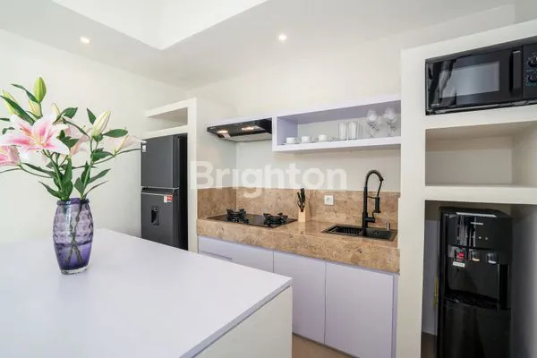 image VILLA MURAH CANGGU  (3)