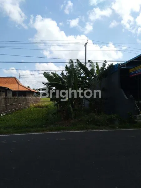 image SEWA TANAH ZONA HIJAU MENGWI BADUNG – LOKASI STRATEGIS, COCOK UNTUK KEBUN PRODUKTIF & AGROWISATA!  (4)