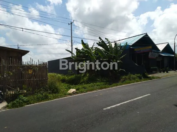 image SEWA TANAH ZONA HIJAU MENGWI BADUNG – LOKASI STRATEGIS, COCOK UNTUK KEBUN PRODUKTIF & AGROWISATA!  (6)