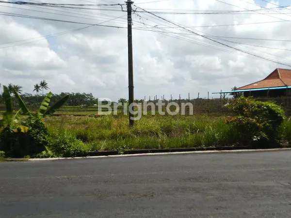 image SEWA TANAH ZONA HIJAU MENGWI BADUNG – LOKASI STRATEGIS, COCOK UNTUK KEBUN PRODUKTIF & AGROWISATA!  (3)