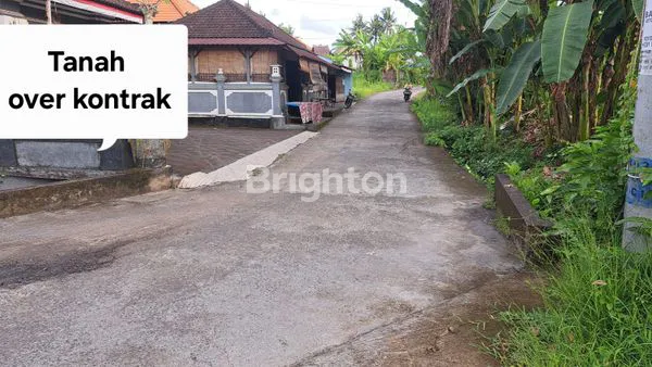 OVER KONTRAK TANAH – 12 ARE | LOKASI KEDIRI-TABANAN-BALI