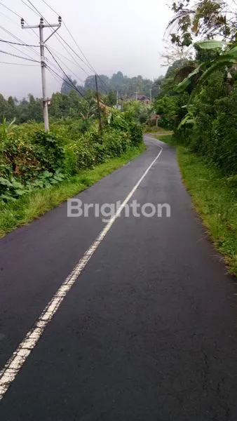 image DI JUAL TANAH 30 ARE DI DESA SEMING UBUD (2)