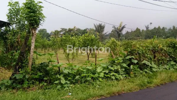 image DI JUAL TANAH 30 ARE DI DESA SEMING UBUD (1)