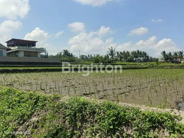 image DIJUAL TANAH DI LOHTUNDUH  (1)