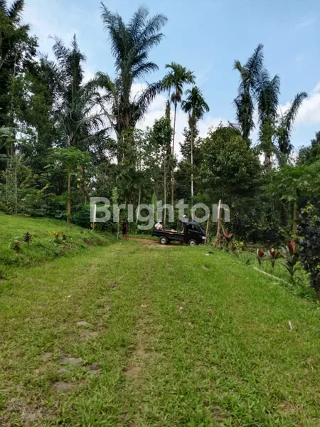 image INVESTASI EMAS: KAVLING 500M² SHM DI WANGAYA GEDE- THE THRONE LAND PENEBEL CLUSTER 1 (4)