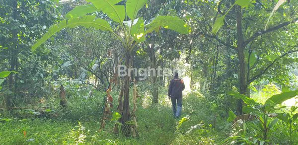 image JUAL TANAH CIKARAGEMAN SETU (1)