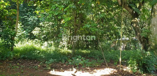 image JUAL TANAH CIKARAGEMAN SETU (2)