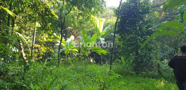 image JUAL TANAH CIKARAGEMAN SETU (5)