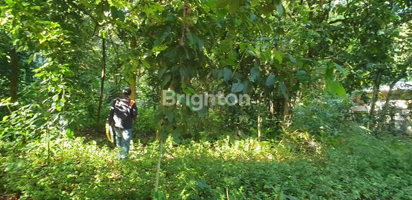 image JUAL TANAH CIKARAGEMAN SETU (4)