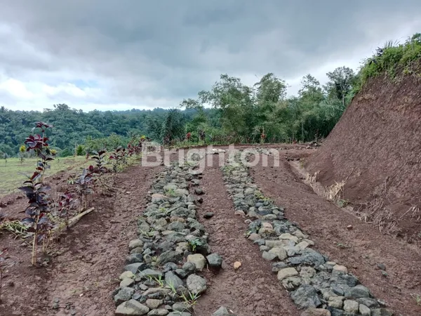 image TANAH PREMIUM SIAP BANGUN 500M² DI THE THRONE LAND PENEBEL CLUSTER 2 (3)