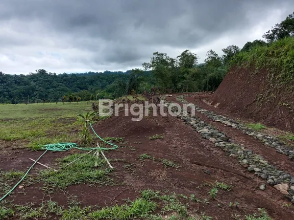 image TANAH PREMIUM SIAP BANGUN 500M² DI THE THRONE LAND PENEBEL CLUSTER 2 (5)