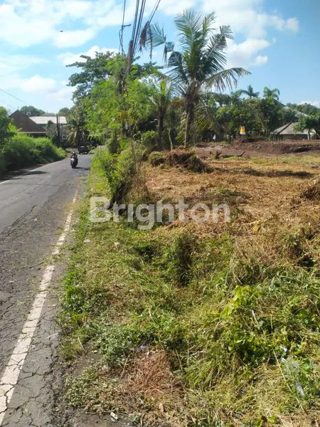 image DIJUAL TANAH DI SINGAPADU  (1)