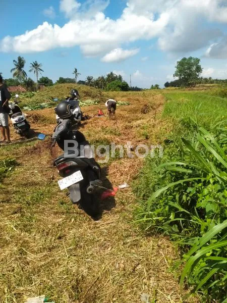 image DIJUAL TANAH DI SINGAPADU  (3)