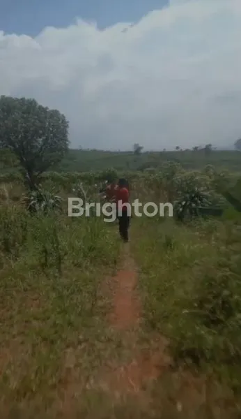 image DI JUAL TANAH DENGAN VIEW SUPER INDAH DAERAH HAMBALANG  (2)