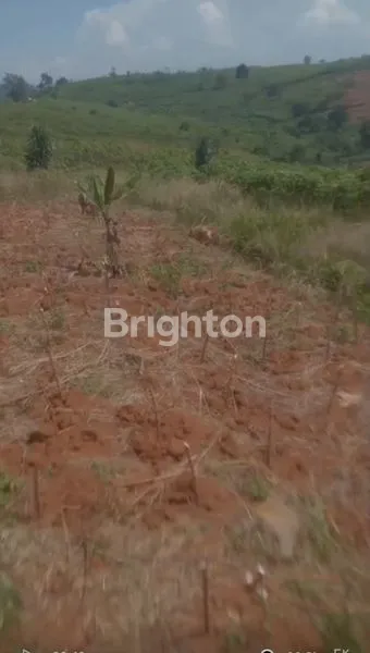 image DI JUAL TANAH DENGAN VIEW SUPER INDAH DAERAH HAMBALANG  (4)