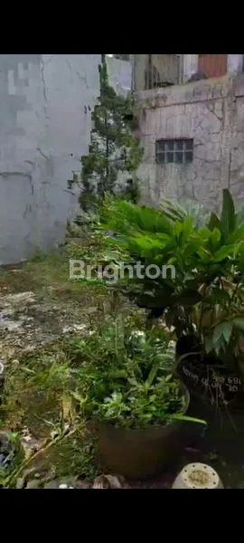 image RUKO PASAR WAGE PURWOKERTO  (3)