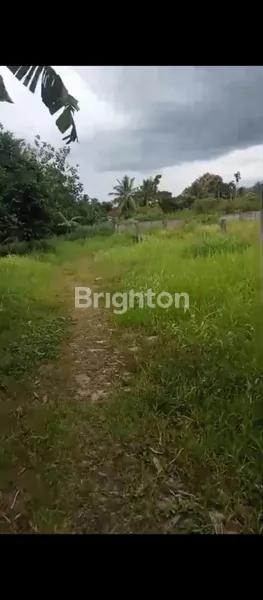 image DIJUAL LAHAN STRATEGIS 3,7 HA BATU TULIS BOGOR – DEKAT INDOMARET & SPBU, PINGGIR JALAN, IDEAL UNTUK RESORT/HOTEL/VILLA – OPEN PRICE 18,5 M NEGO (6)