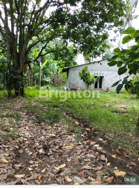image TANAH SHM 3200M², ISI KEBUN DUKU DEKAT KOTA BINJAI (2)