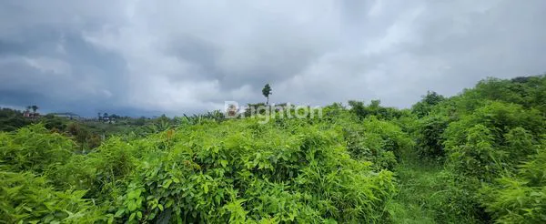 image TANAH STRATEGIS DI BUKIT JENGKOANG, VIEW 360° KOTA BATU (3)