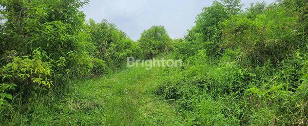 image TANAH STRATEGIS DI BUKIT JENGKOANG, VIEW 360° KOTA BATU (5)