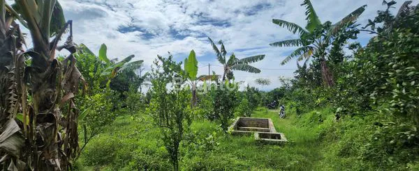 image INVESTASI TANAH PREMIUM DI LOKASI WISATA BATU (2)