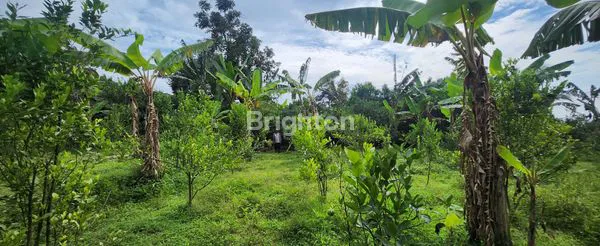 image INVESTASI TANAH PREMIUM DI LOKASI WISATA BATU (3)
