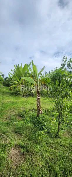 image INVESTASI TANAH PREMIUM DI LOKASI WISATA BATU (5)