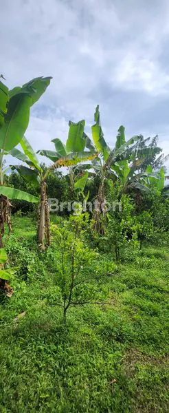 image INVESTASI TANAH PREMIUM DI LOKASI WISATA BATU (6)