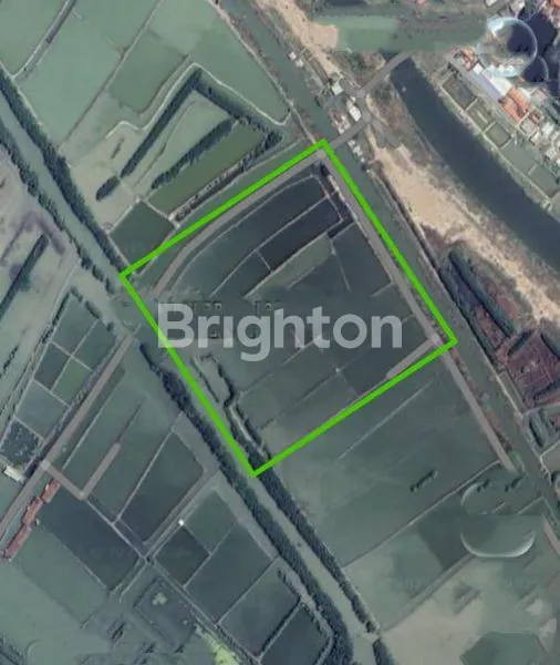 LAHAN STRATEGIS 38.909 M² DI DEMAK, BISA DAUR ULANG