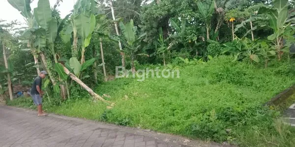 image DI JUAL TANAH (3)