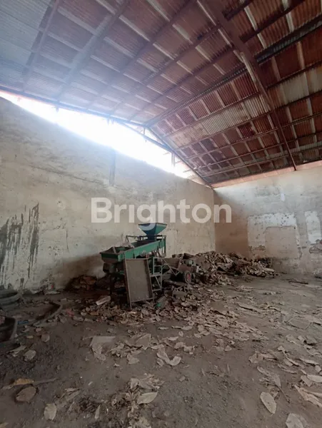 image DISEWAKAN TANAH DAN BANGUNAN KONDISI APA ADANYA DI SINGARAJA KOTA (8)