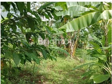 image SEWA TANAH 1000M², LOKASI SANGAT STRATEGIS DI KEBON JERUK (2)