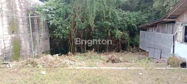 image RUMAH TINGGAL DENGAN LETAK STRATEGIS DI BLORA (8)