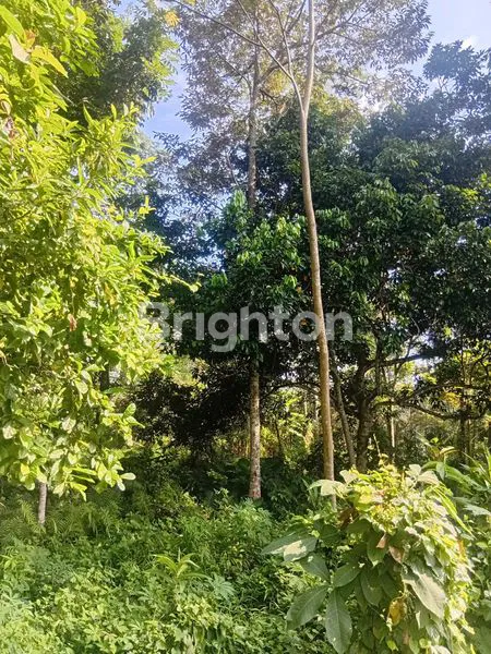 image TANAH SIAP BANGUN (2)