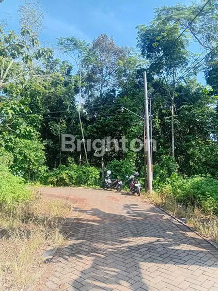 image TANAH SIAP BANGUN (4)