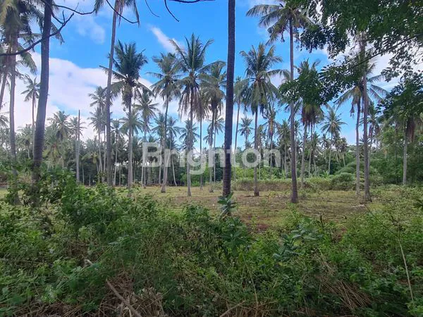 DISEWAKAN TANAH DI NUSA PENIDA