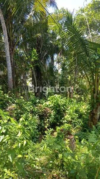 image TANAH IDA BAGUS MANTRA HADAP SELATAN BARAT 10.410 M² (3)