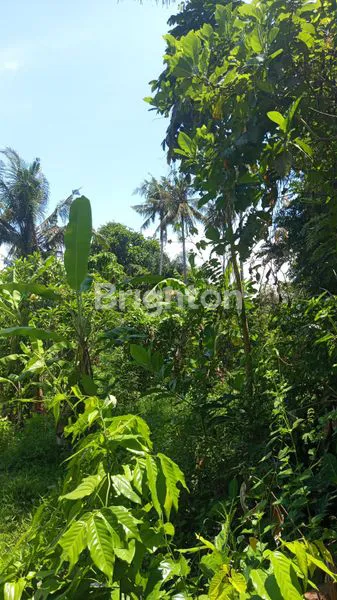 image TANAH IDA BAGUS MANTRA HADAP SELATAN BARAT 10.410 M² (2)