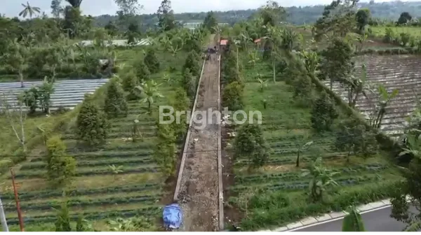 DI JUAL TANAH DI DAERAH PETANG PLAGA