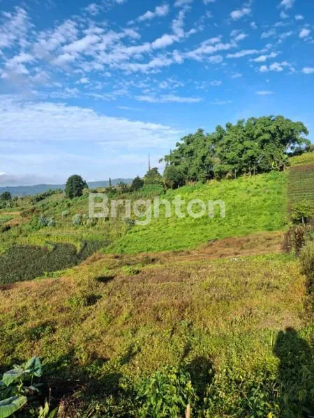 image TANAH DI JUAL DI BUMIAJI BATU. KOTA MALANG (2)